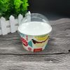 ZTI0308,8盎司 (17) 6oz/210ml ice cream paper cup